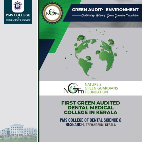 green-audit.jpeg