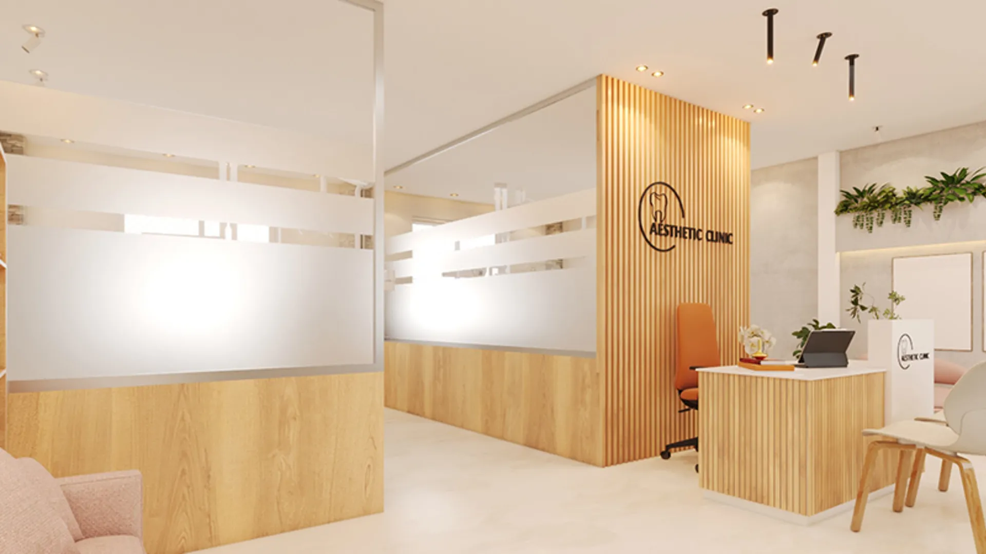 Aesthetic Clinic
