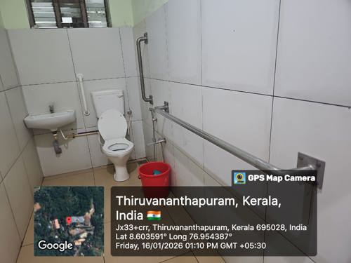 toilet-handrails.jpeg