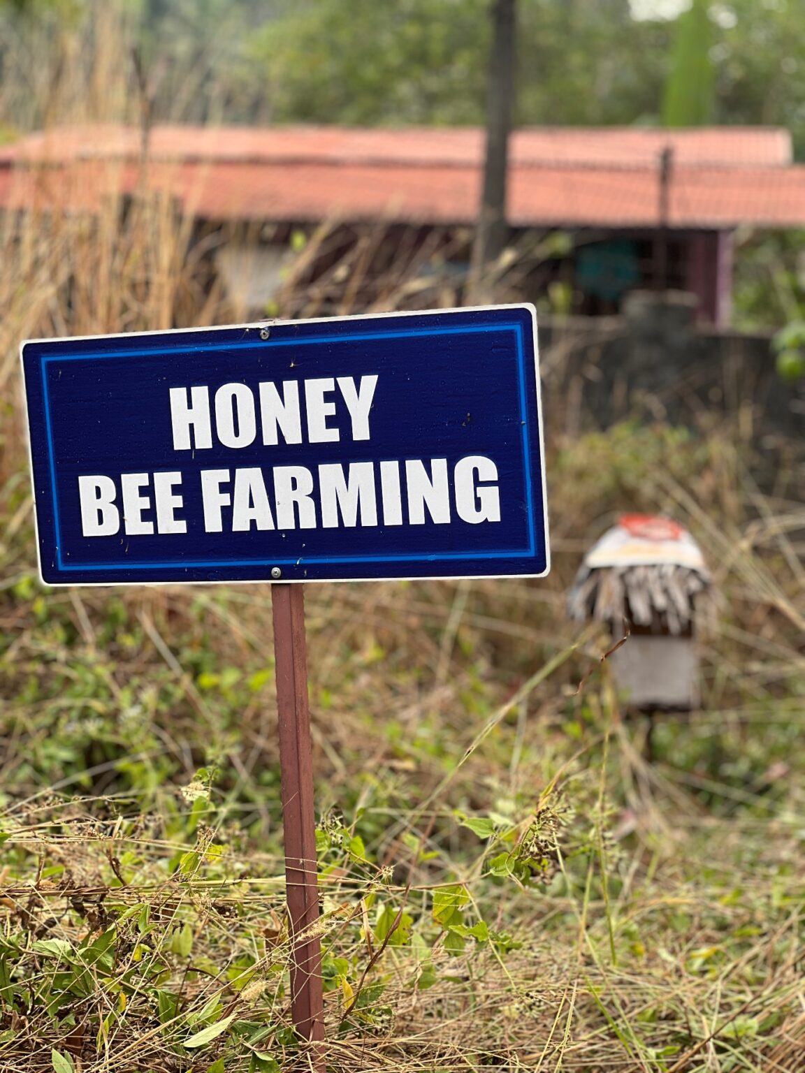 organic_farming_03-1152x1536.jpg
