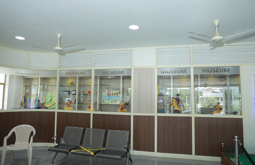 museum-2.jpg