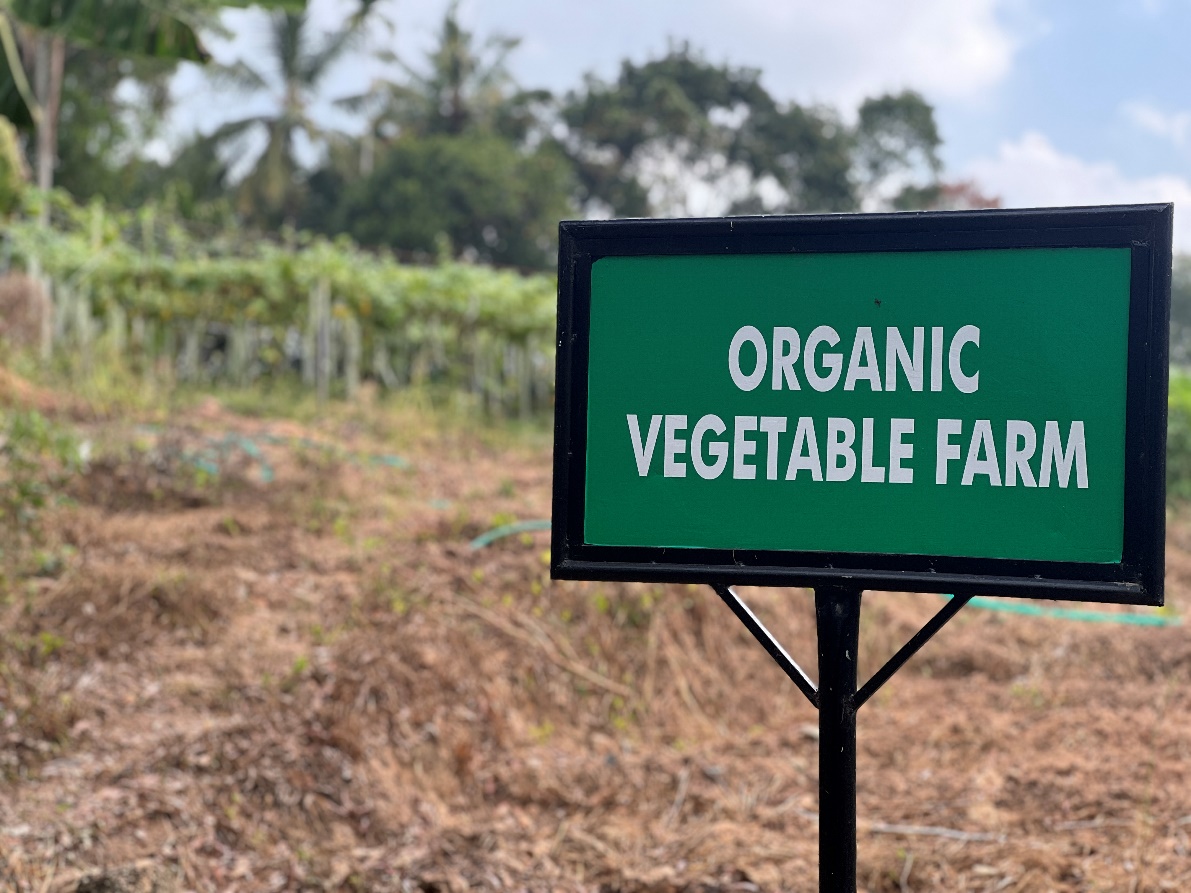 organic_farming_01.jpg