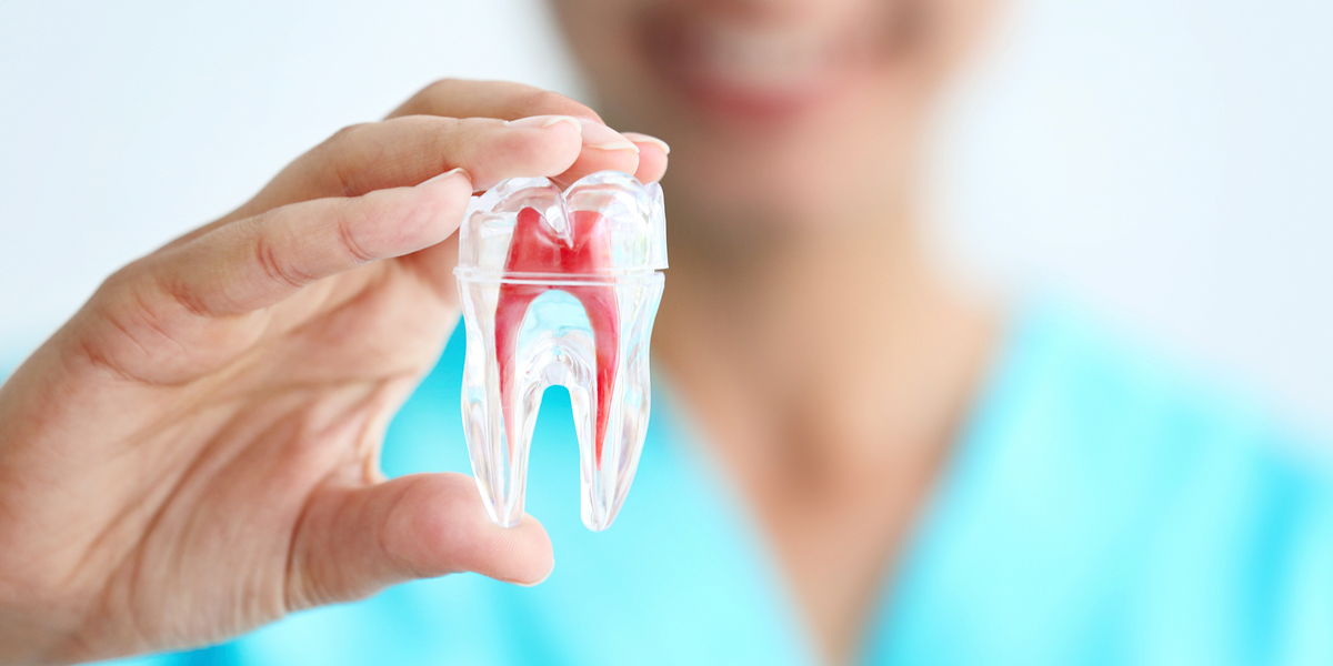 Conservative Dentistry and Endodontics
