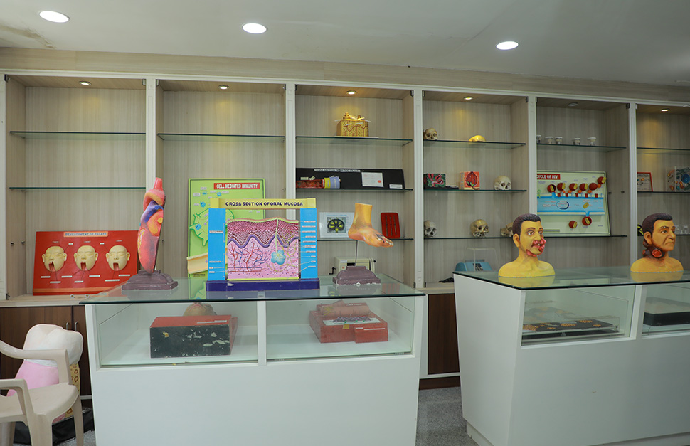 Museum