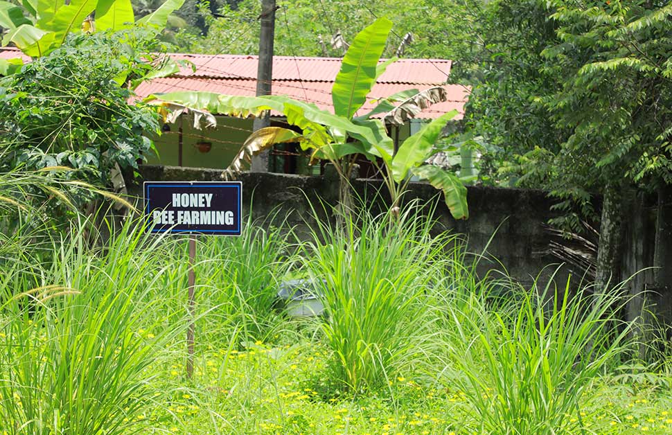 NATURE CLUB GALLERY